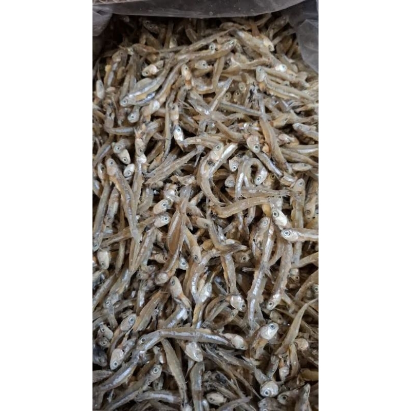 

Teri jengki bulat utuh kualitas super