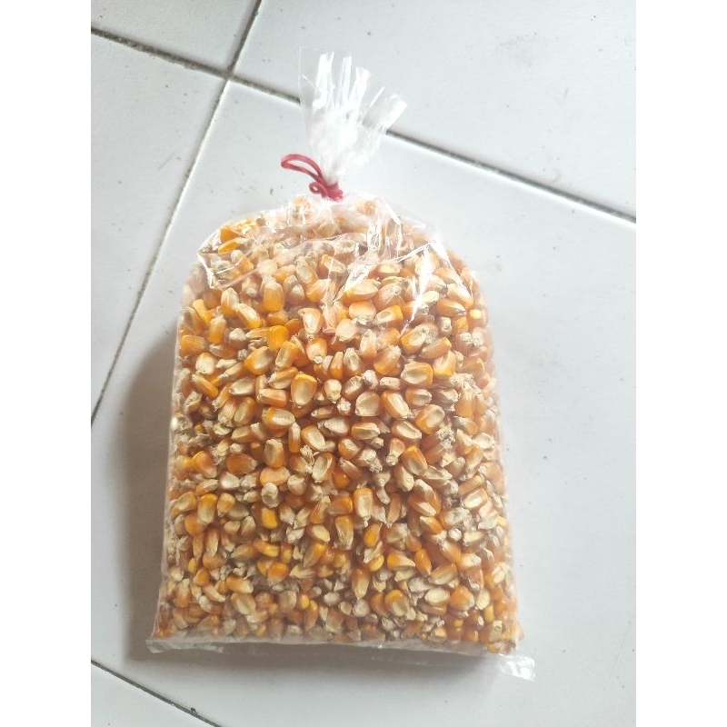 

Jagung Pipil 1 kg