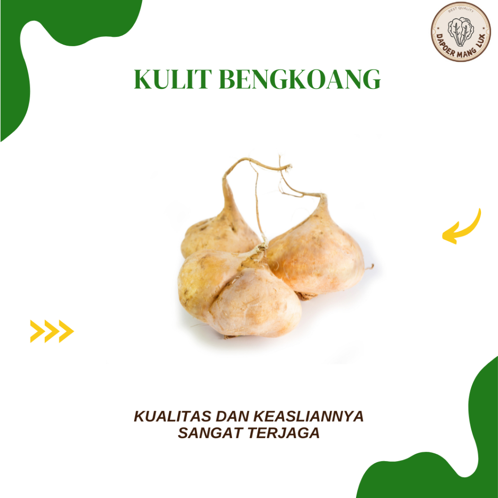 

DRIED SERBUK KULIT BENGKOANG BEST SELLER