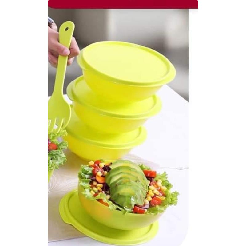 Moorlife Camella set (4)