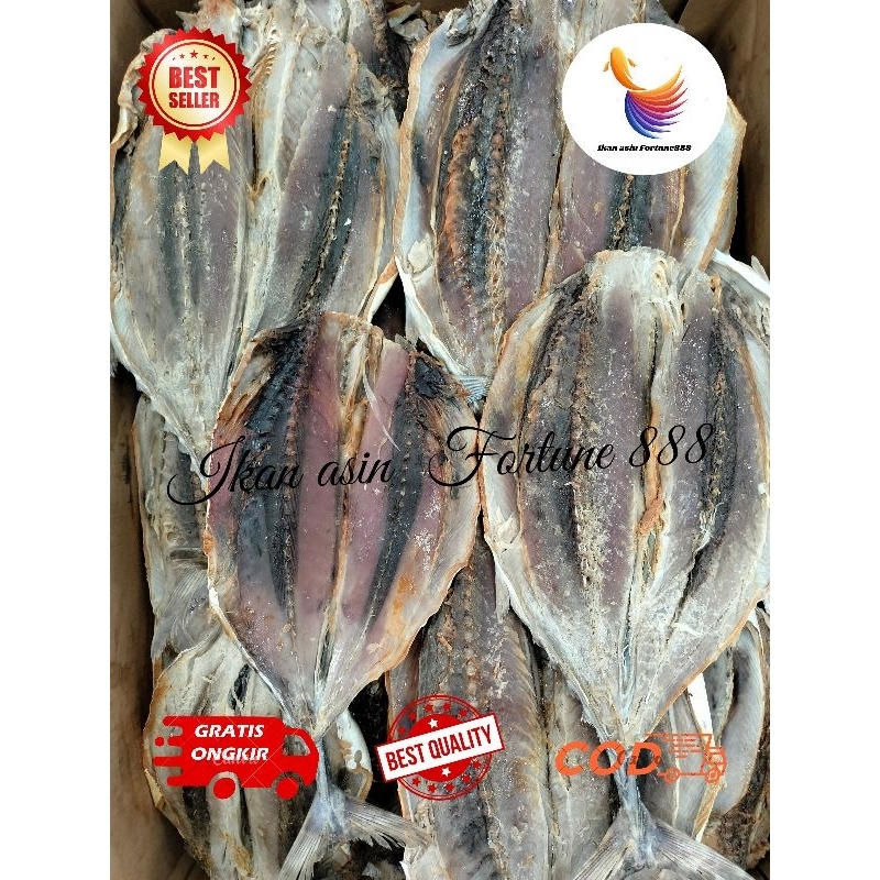 

Ikan Asin Daging Tongkol ( sudah di potong kotak ) kualitas Super 500 gram, 1000 gram