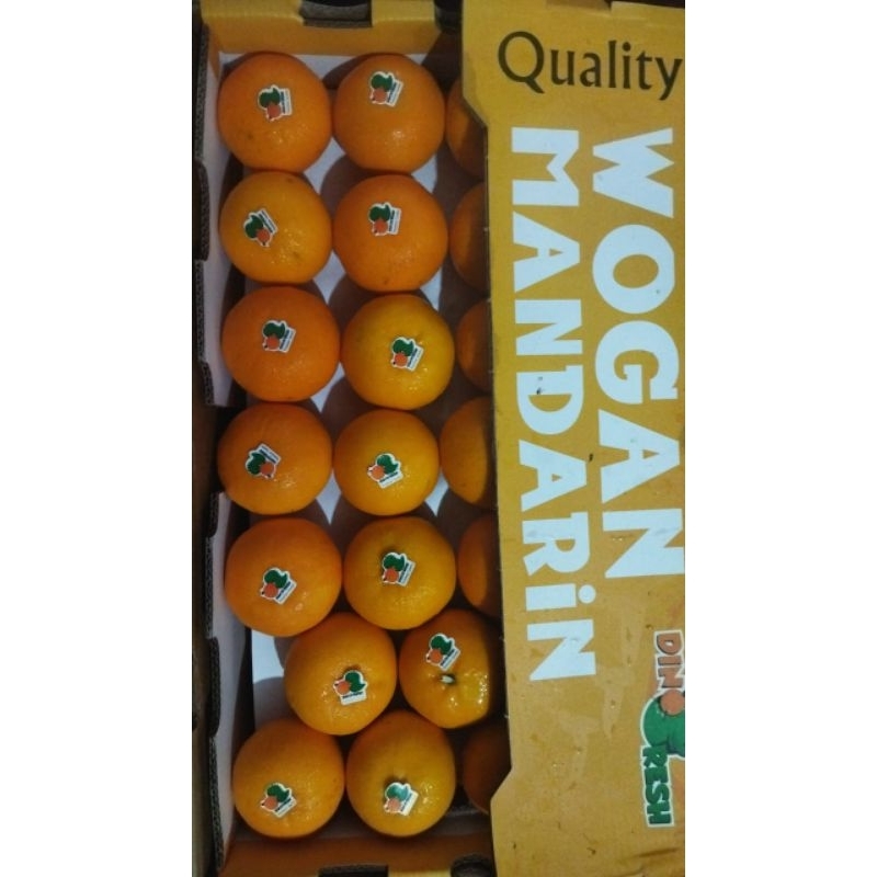 

jeruk wogan mandarin dinofresh/kg