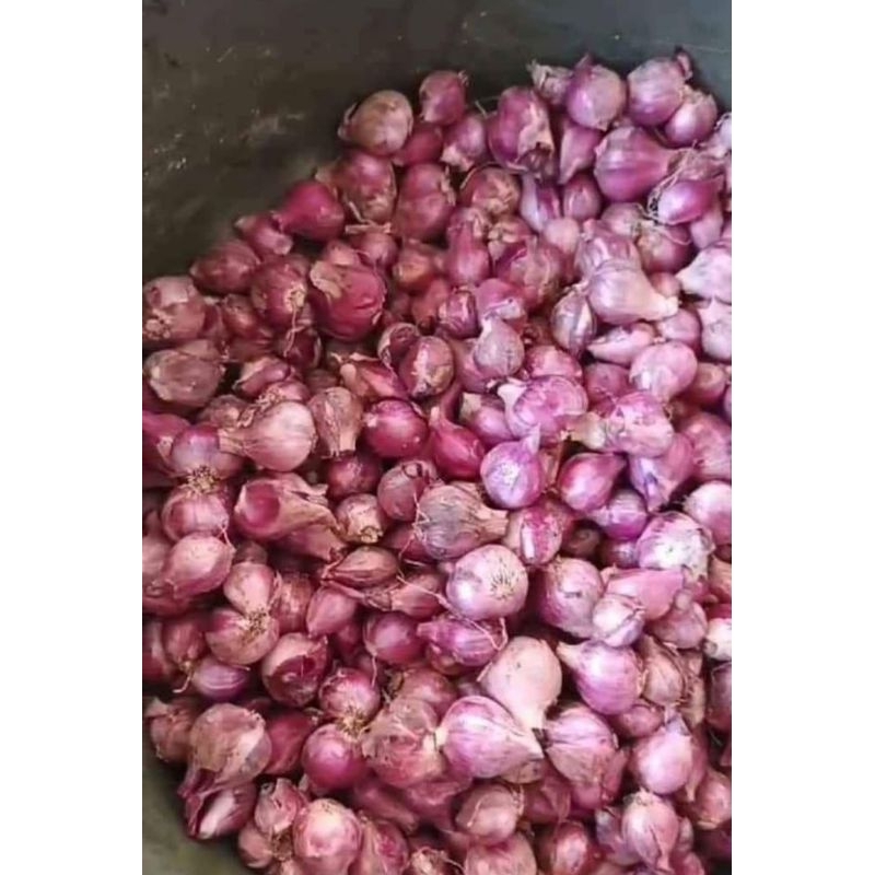 

Bawang Merah Situbondo