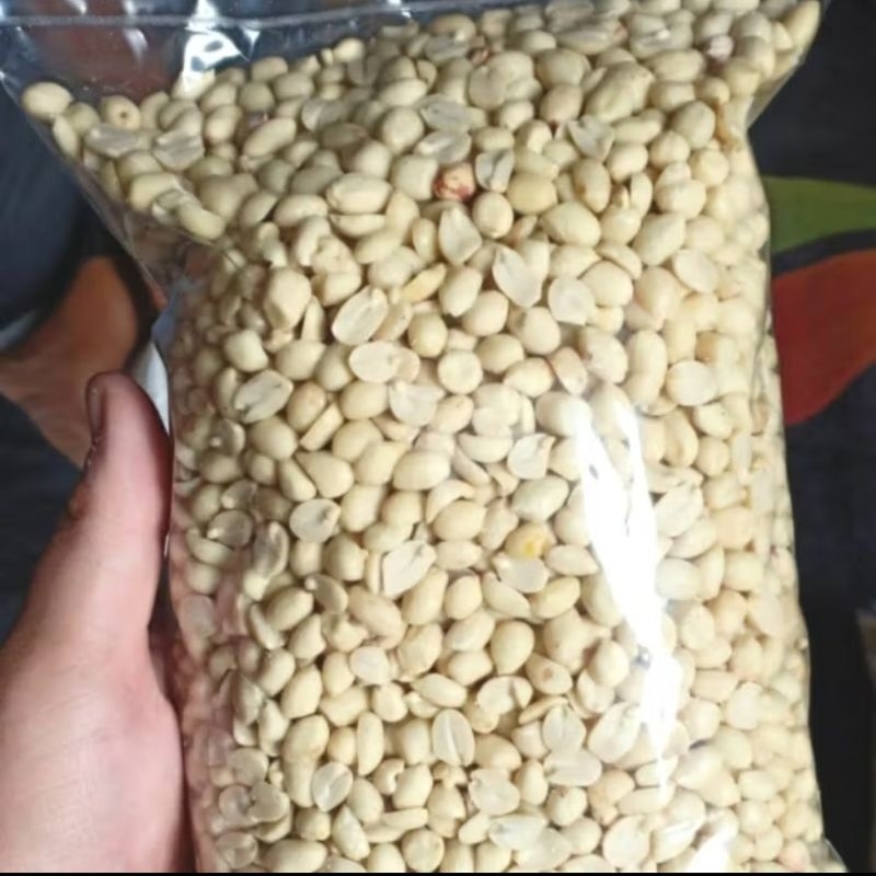 

kacang bawang kupas bersih 1kg mentah Termurah