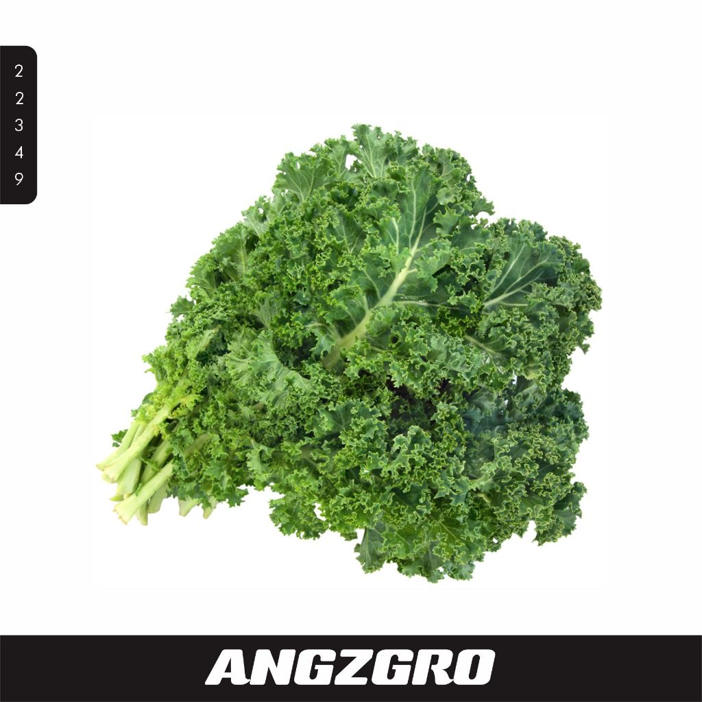

Kale Curly Hidroponik 100 gr