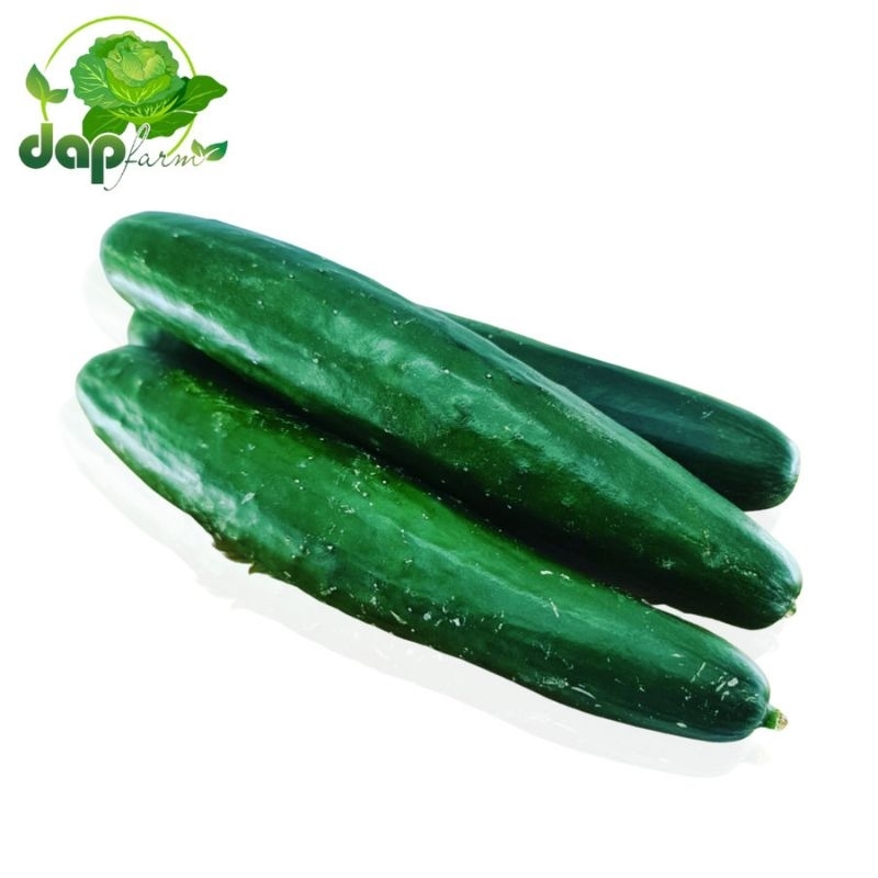 

Timun Jepang Kyuri/ DAP Farm/ Sayur Segar Jakarta