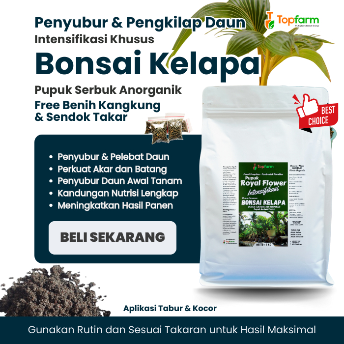 Pupuk Bonsai Kelapa Terbaik / Pupuk Akar Daun dan Batang Bonsai / Pupuk Booster Bonsai Kelapa