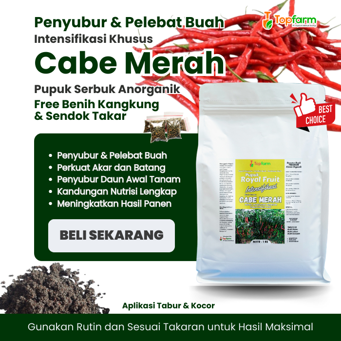 Pupuk Pelebat Buah Cabe Merah / Pupuk Cabe Merah Besar / Pupuk Tanaman Cabe Merah Terbaik