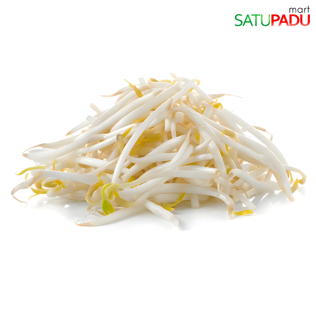

satupadu mart - Toge Segar / Taoge Segar / Kecambah Segar Sayuran
