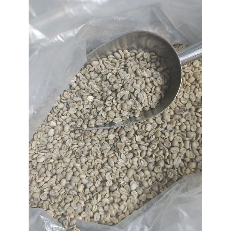 

KOPI ARABIKA TIMOR LESTE PETIK MERAH 1KG SORTIR