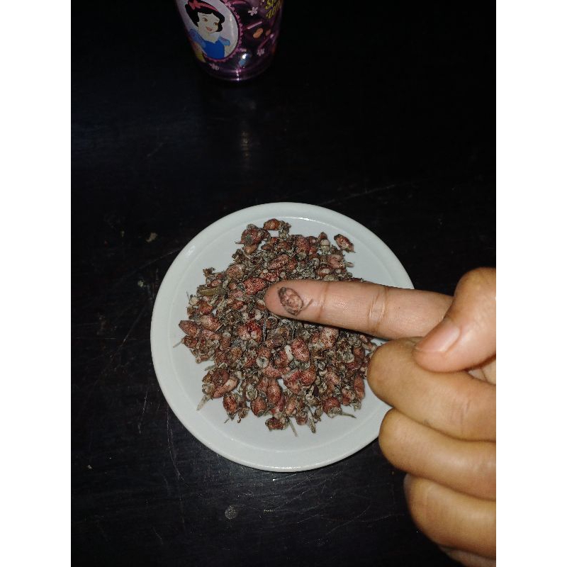 

Cumi baby kecil 0.5 ke 2cm berat 500gram