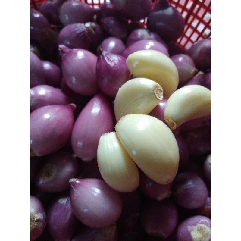 

Bawang Kupas /bawang merah/bawang putih