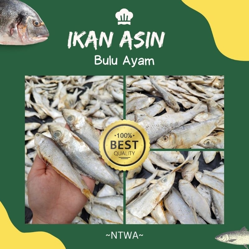 

Ikan Asin Bulu Ayam khas Pasuruan