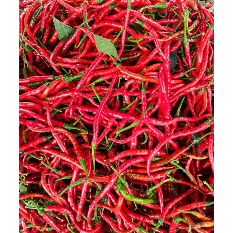 

Cabai merah keriting Segar Berat 500gram