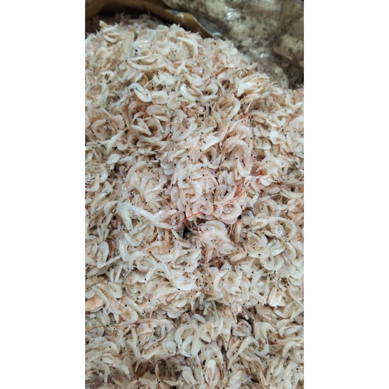 

udang rebon / kecepeh / udang hepi