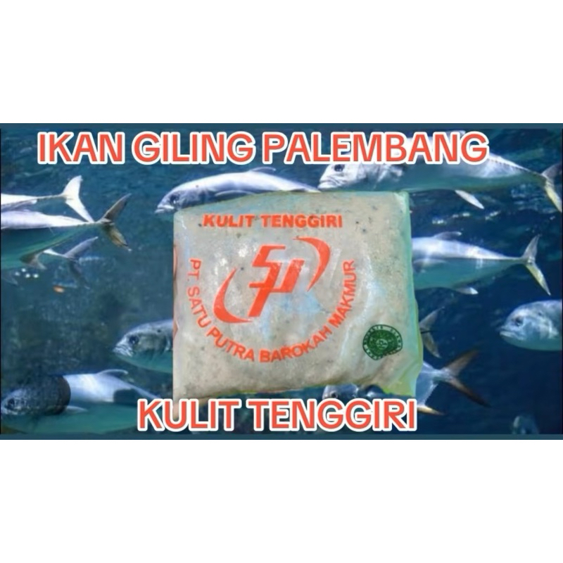 

IKAN GILING PALEMBANG KULIT TENGGIRI