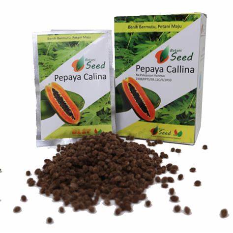

BENIH PEPAYA CALINA 500 BIJI