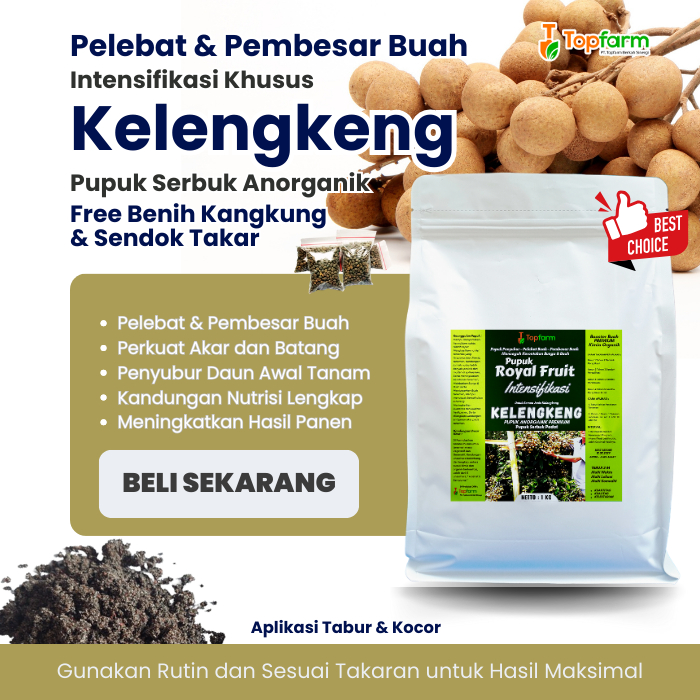 Pupuk Kelengkeng Cepat Berbuah / Pupuk Buah Kelengkeng Terbaik / Pupuk Tanaman Kelengkeng Buah Lebat
