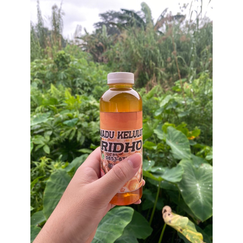

Madu Kelulut Ridho/ Madu Trigona | dijamin 100% madu kelulut | 250 ml