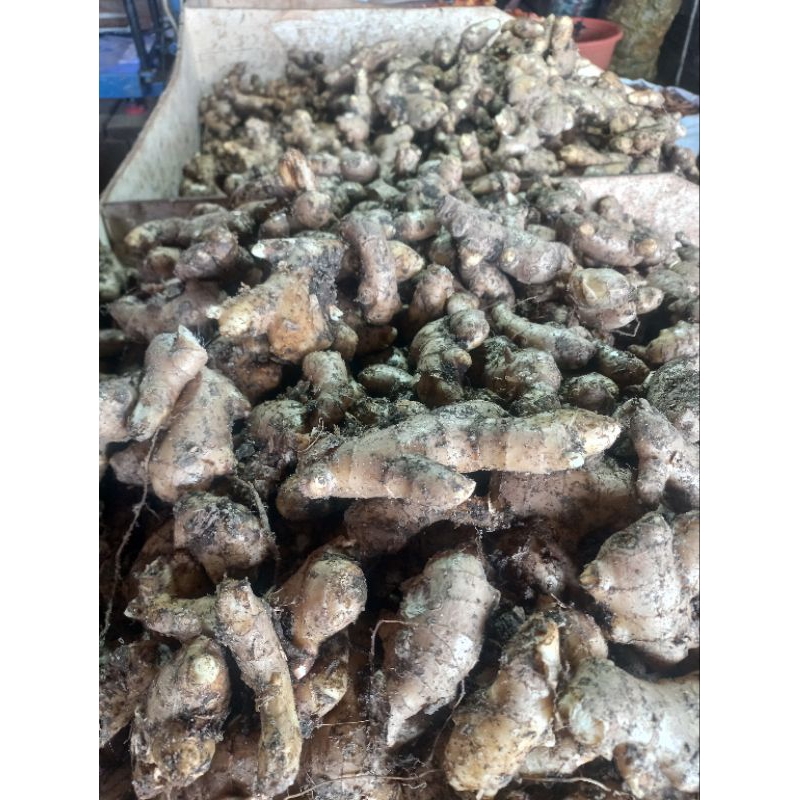 

Jahe lokal fresh (ukuran besar)