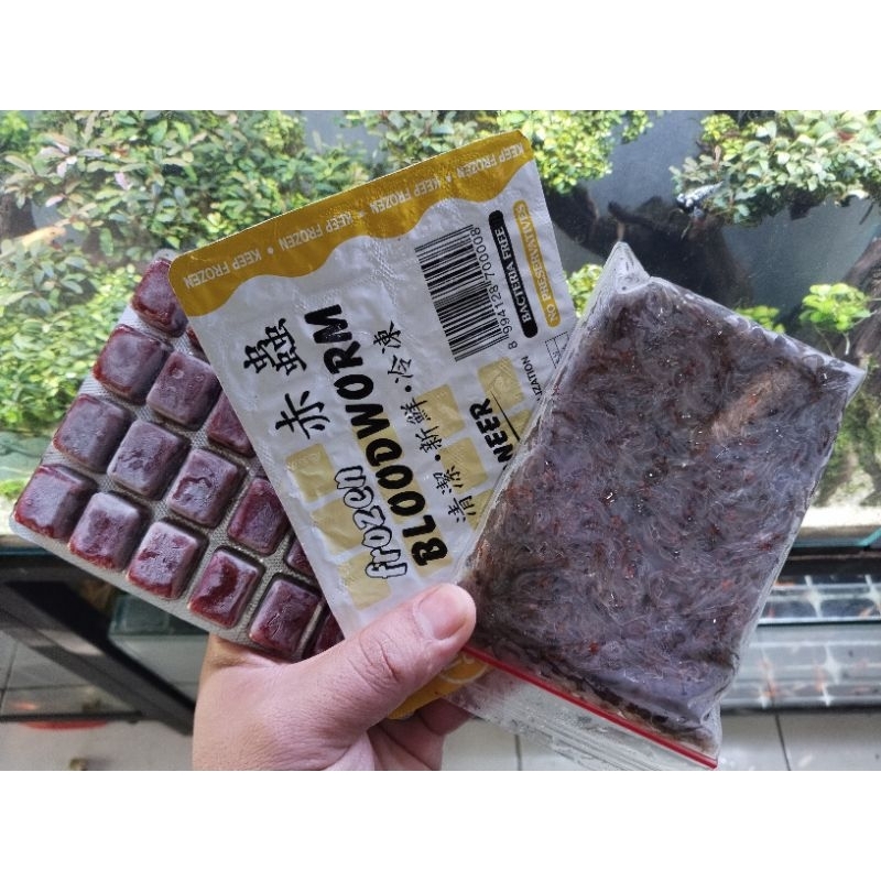 Cacing beku frozen BLOODWORM pioneer, UDANG BEKU 100gr pakan ikan hias
