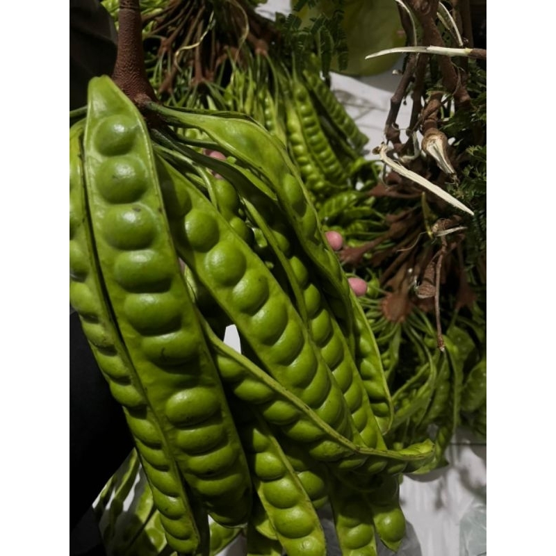 

PETE SUPER GRADE A ISI 10 PAPAN PREMIUM PUNYA