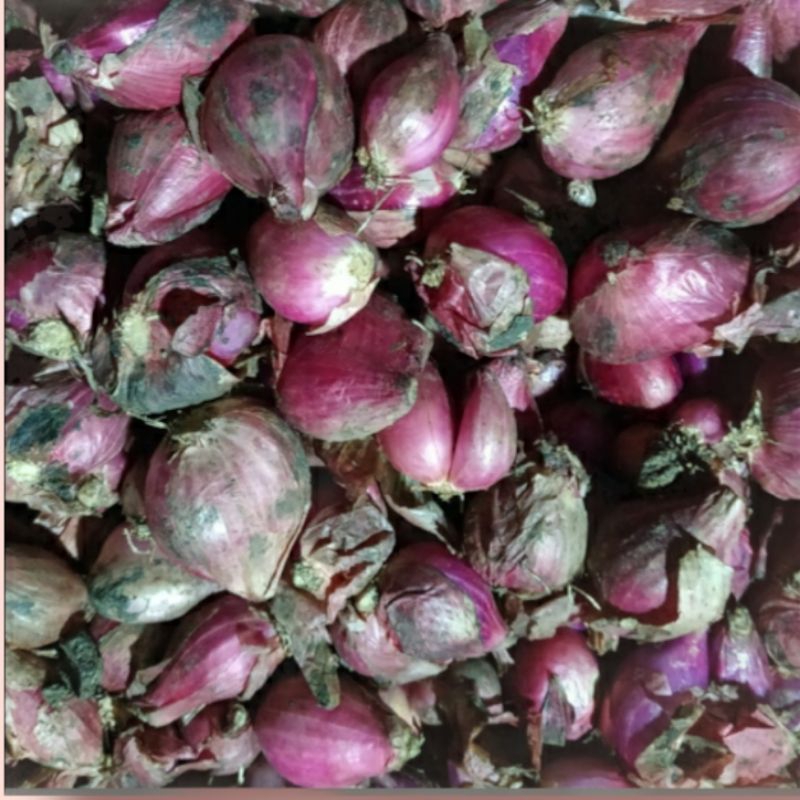 

bawang merah