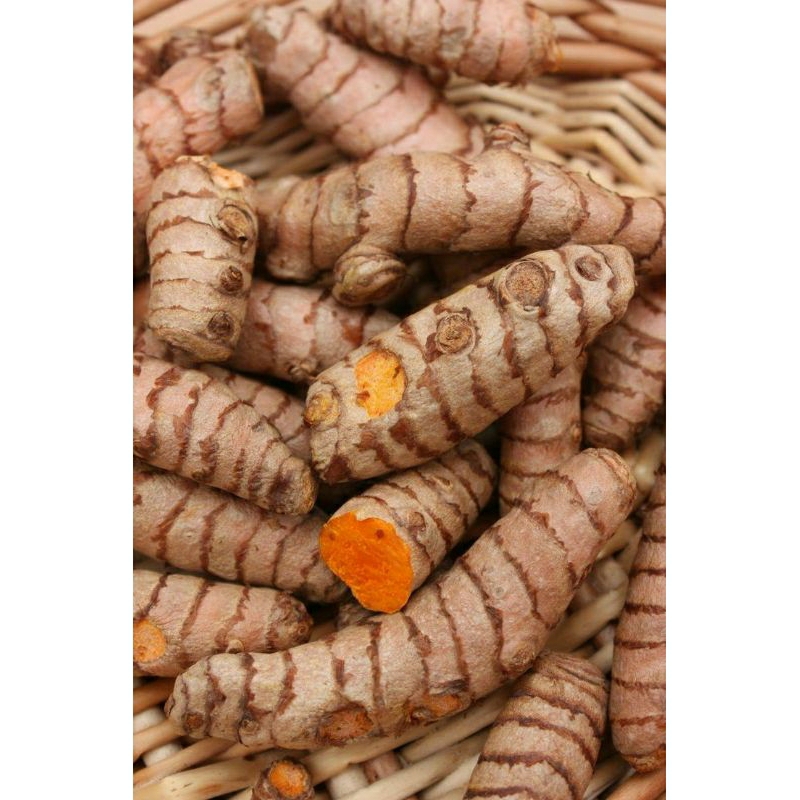 

kunyit/kunir segar 500 gr