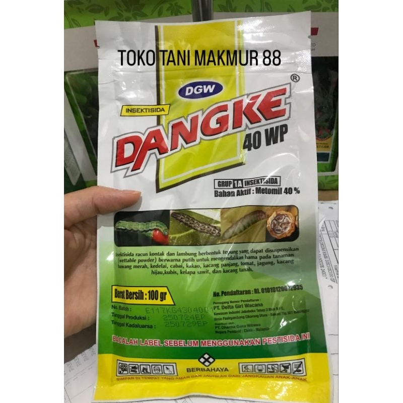 Dangke 100 gram