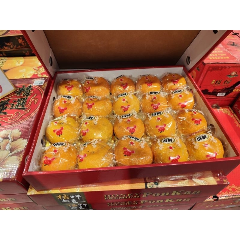 

Buah jeruk ponkam jufu super premium gift box isi 20 pcs