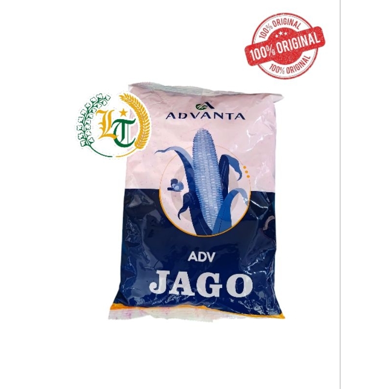 Benih jagung hibrida adv Jago advanta 1Kg