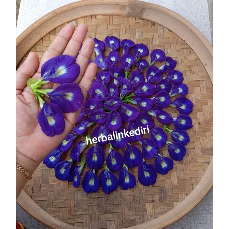 

(HerbalinKediri) Bunga Telang Kering Teh Bunga Telang 10gr 20gr