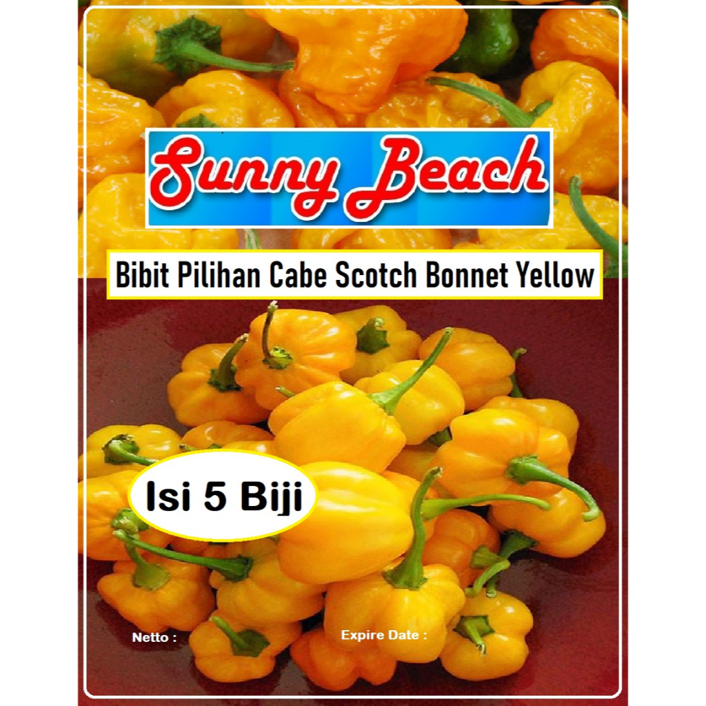 Bibit Pilihan Cabe Scotch Bonnet Yellow | Biji Benih Cabe Scotch Bonnet Yellow