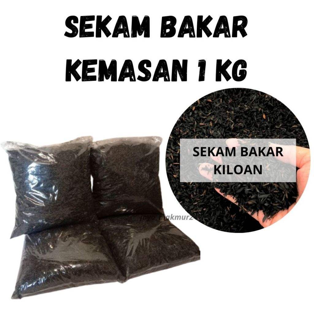 arang sekam bakar 1 kg / arang sekam padi