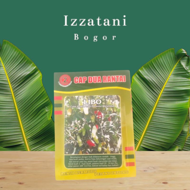 Benih Cabe Libo 10gram Cabai Rawit Putih Prentul Merunduk Asli Pabrik