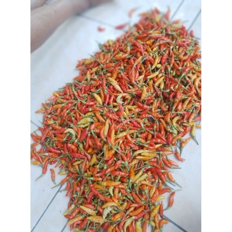 

cabe rawit freesh 500gr