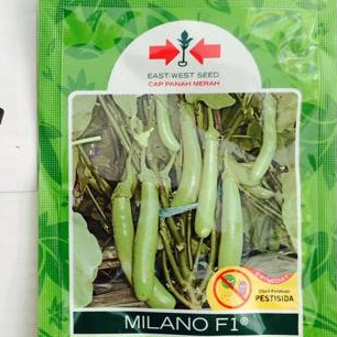 BENIH Terong Milano +/- 1.100 butir