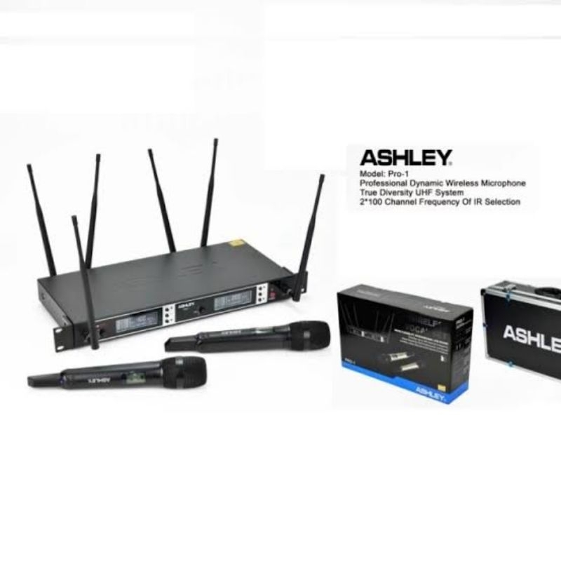 Profesional Wireless Microphone ASHLEY PRO-1