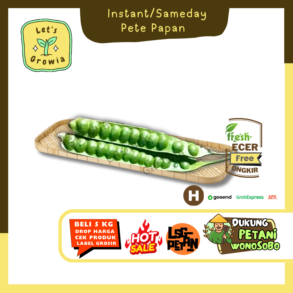 

Growia || Pete / Pete Papan -- Hasil Petani Langsung Ecer(H)