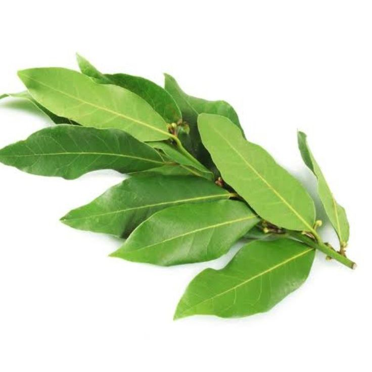 

Daun salam segar berat 250gram