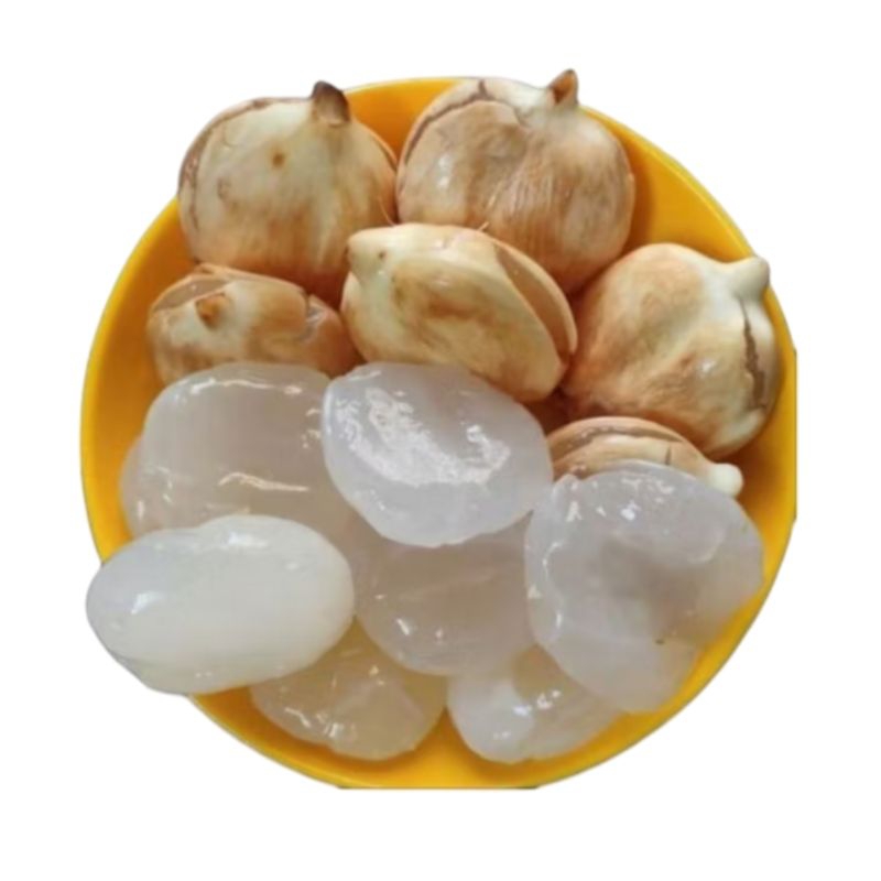 

Buah Lontar siwalan Kupas fresh (isi 20)