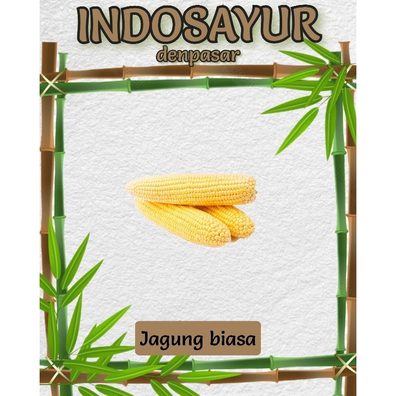 

Jagung Biasa _ INDOSAYUR