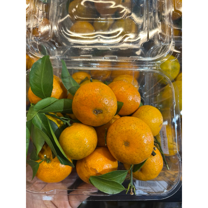 

Jeruk Shantang daun Fresh 500g