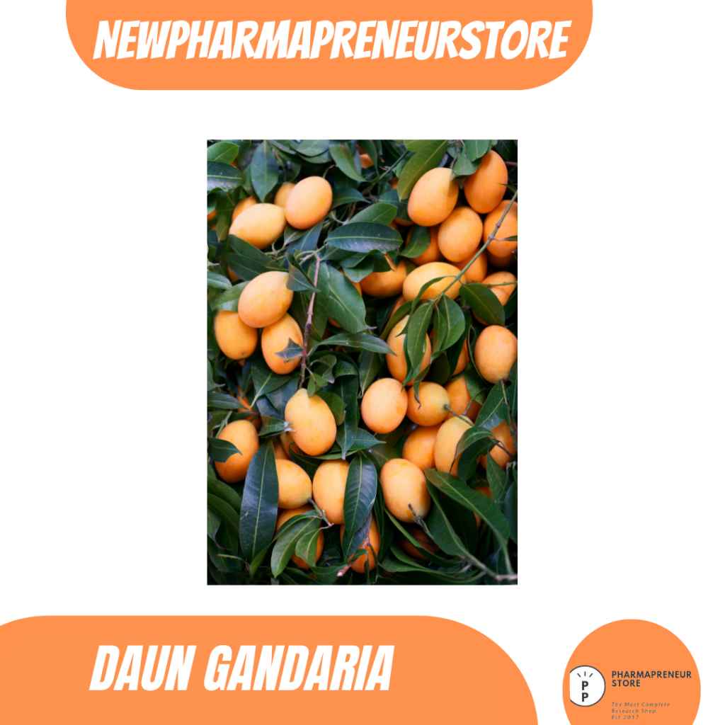 

EKSTRAK DAUN GANDARIA BEST QUALITY