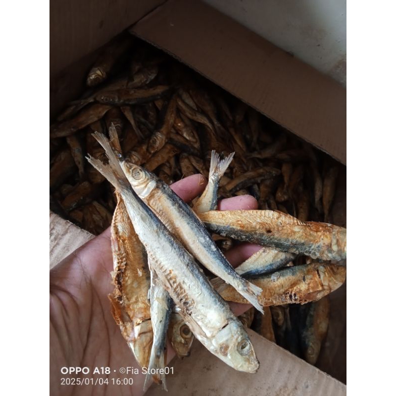 

COD Ikan Asin Japuh Belitung 250 gr / Ikan Asin Murah