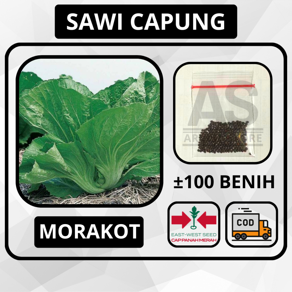 100 Butir - Benih Sawi Pahit MORAKOT Bibit Sayuran Tanaman Batang Besar Daun Lebar Hidroponik