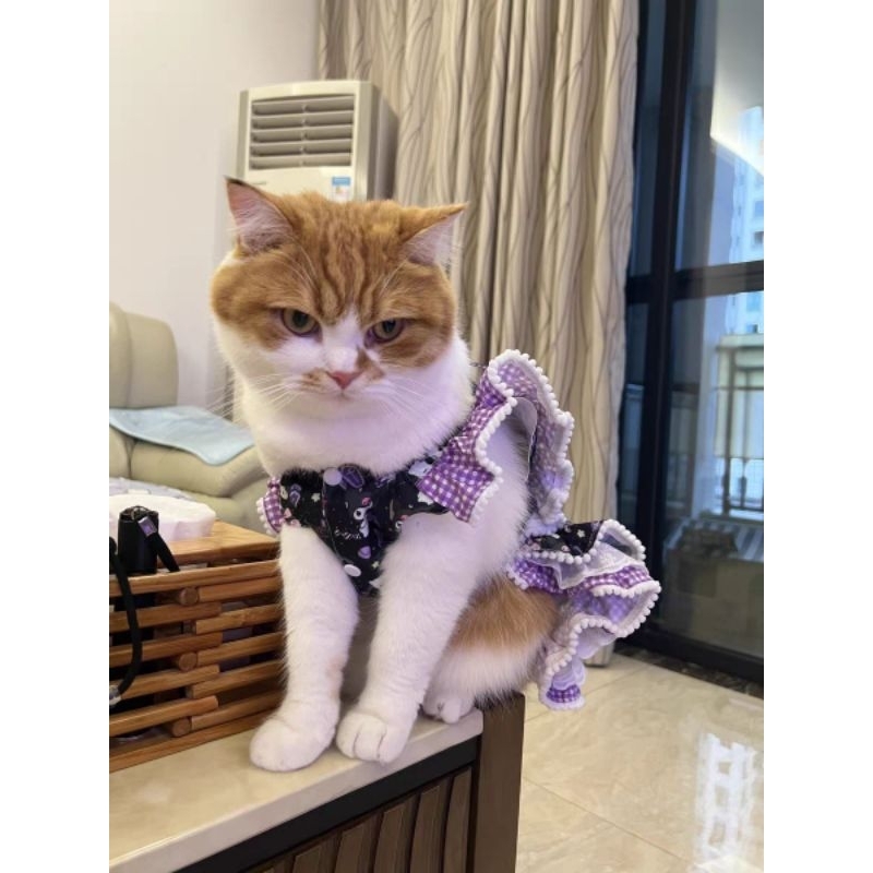 Megumiyee_ Littlepawty - Kuromi Dress Baju Anjing Kucing Gaun Princess Lolita Anabul Betina Rok Tutu