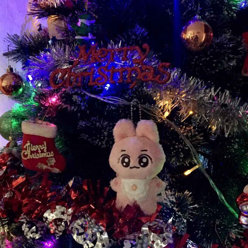 tojaem doll ( doll jaemin )