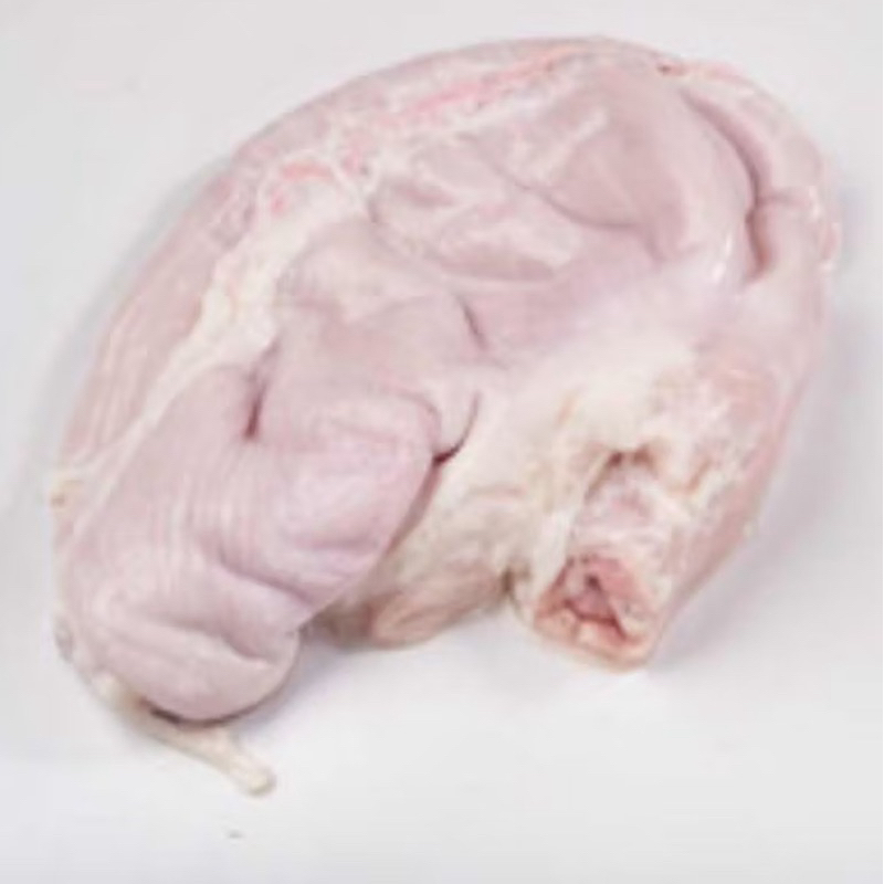 

Tuto / perut babi sudah bersih khusus gojek / grab