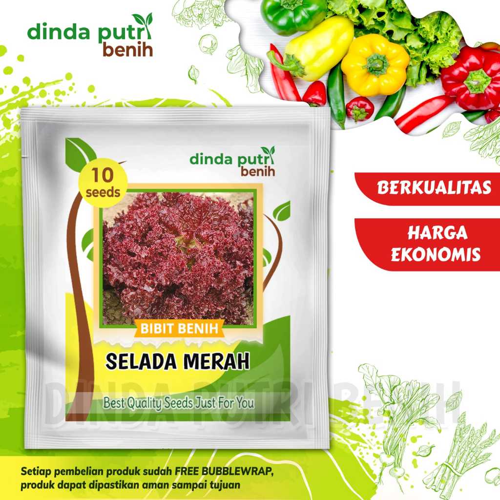 Benih Selada Merah isi 10 biji / benih sayuran selada merah